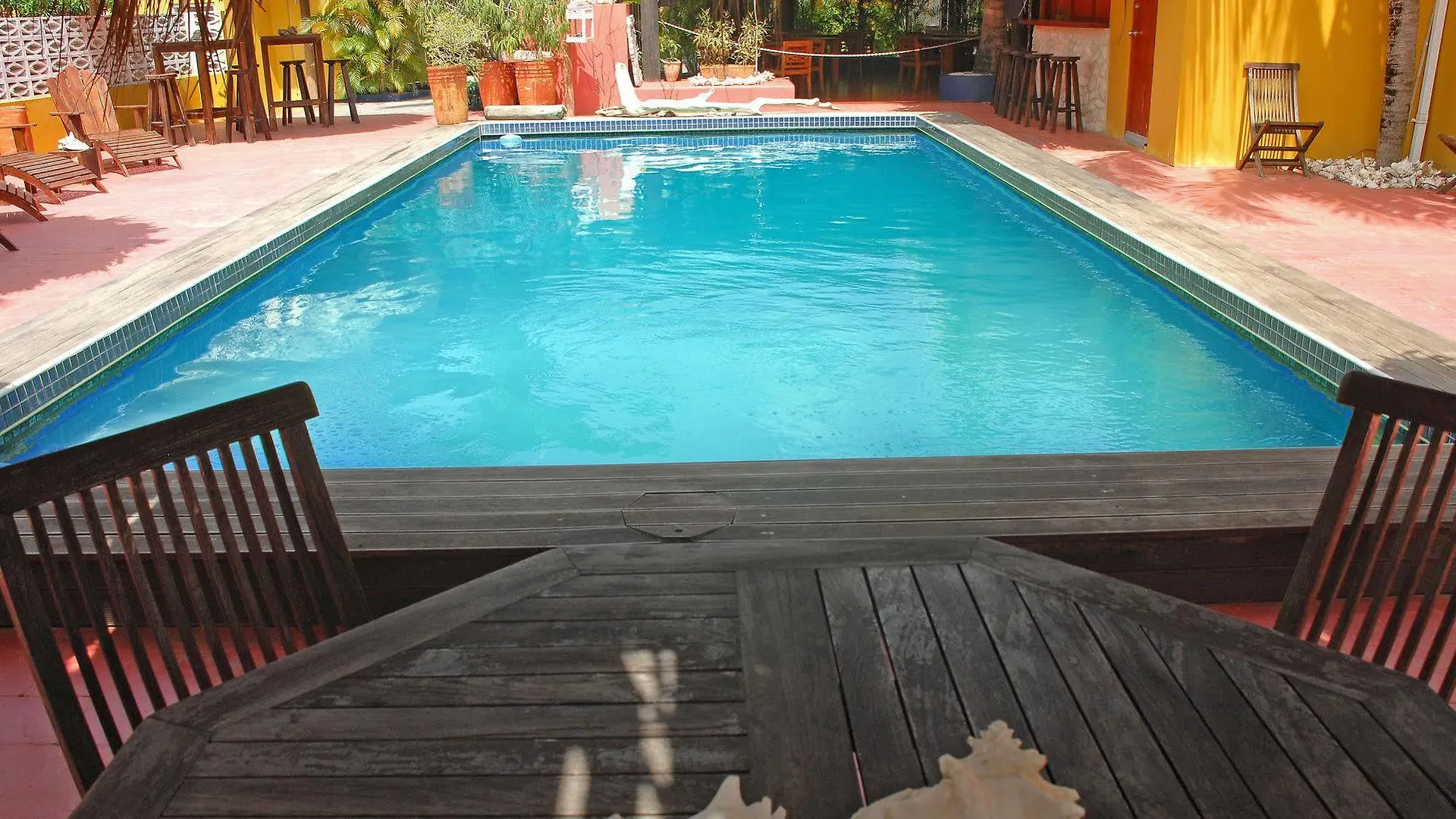 Yacht Club Apartments Bonaire Lejlighedshotel