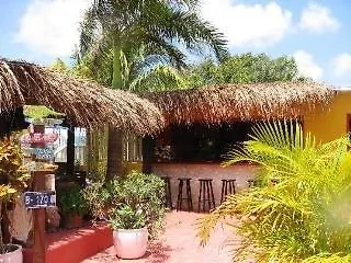 Yacht Club Apartments Bonaire Apartahotel